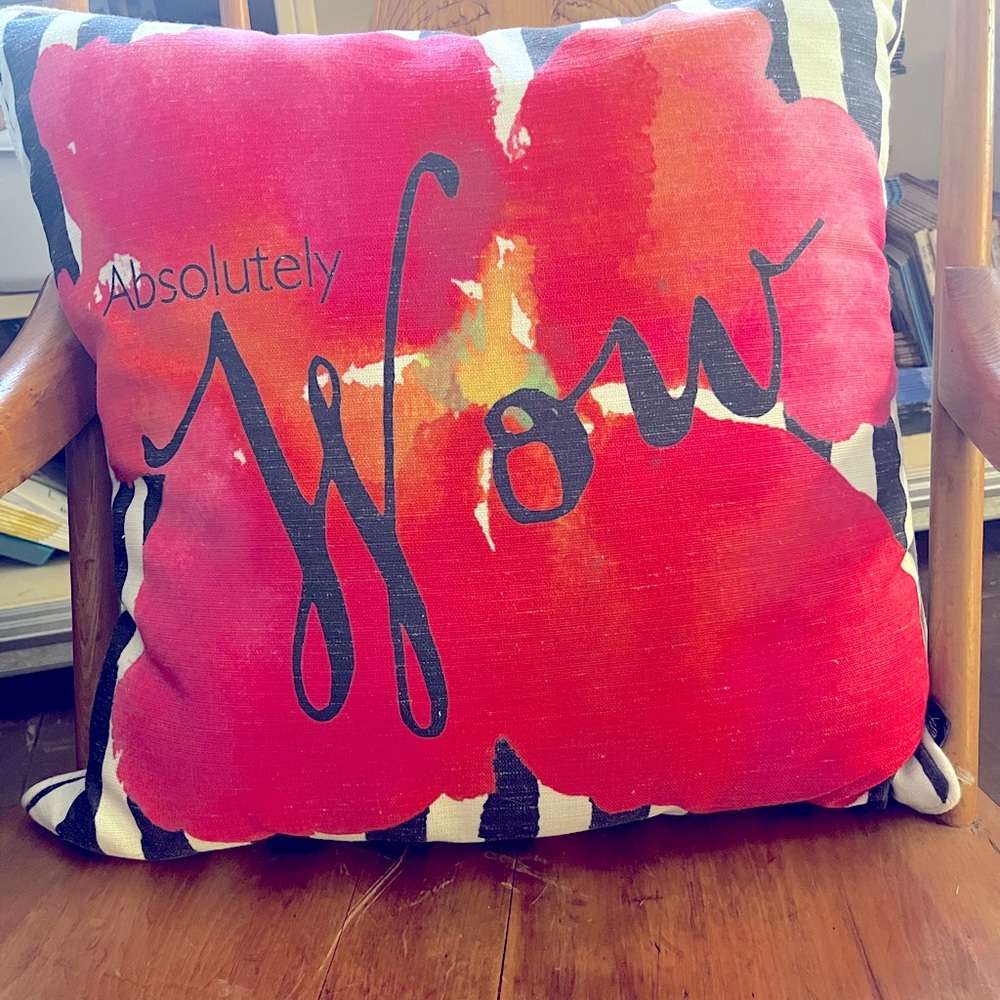Decorative pillow. Like new!